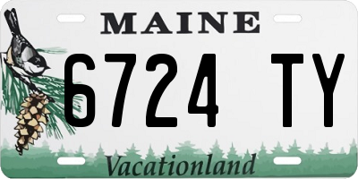 ME license plate 6724TY