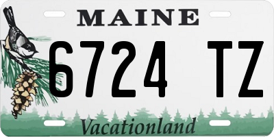 ME license plate 6724TZ