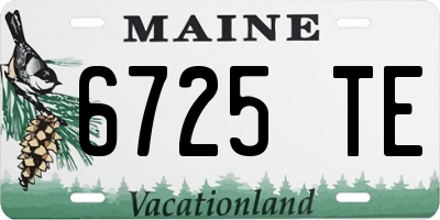 ME license plate 6725TE