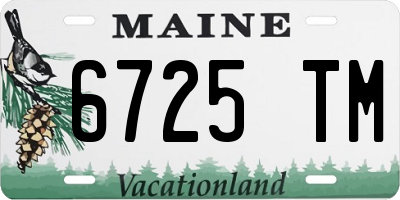 ME license plate 6725TM