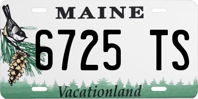 ME license plate 6725TS
