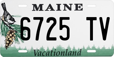 ME license plate 6725TV