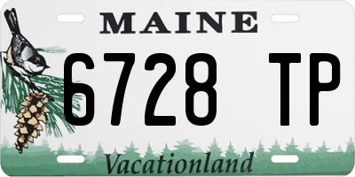 ME license plate 6728TP