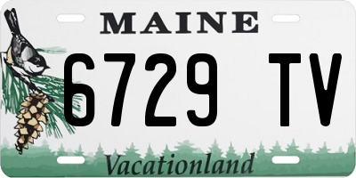 ME license plate 6729TV