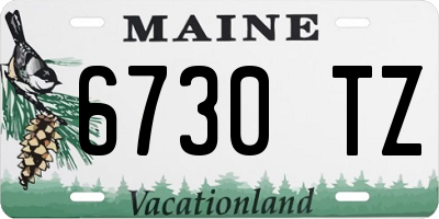 ME license plate 6730TZ