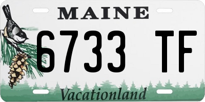ME license plate 6733TF