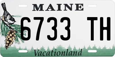 ME license plate 6733TH
