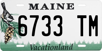 ME license plate 6733TM