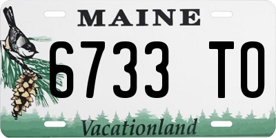 ME license plate 6733TO