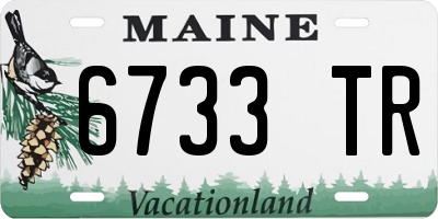 ME license plate 6733TR