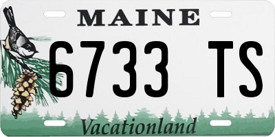 ME license plate 6733TS