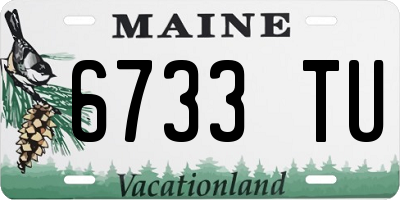 ME license plate 6733TU