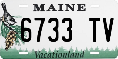 ME license plate 6733TV