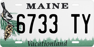 ME license plate 6733TY