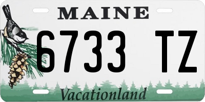 ME license plate 6733TZ