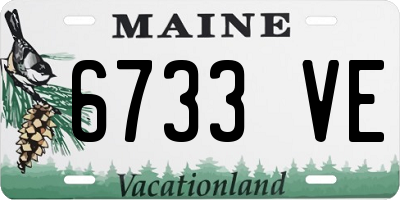 ME license plate 6733VE