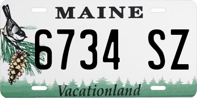 ME license plate 6734SZ
