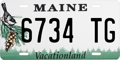 ME license plate 6734TG