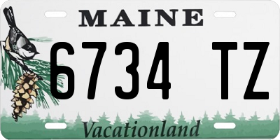 ME license plate 6734TZ