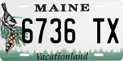 ME license plate 6736TX