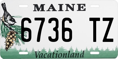 ME license plate 6736TZ