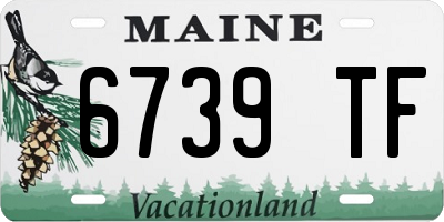 ME license plate 6739TF