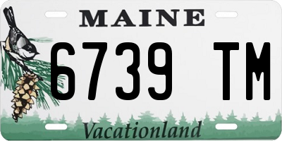 ME license plate 6739TM