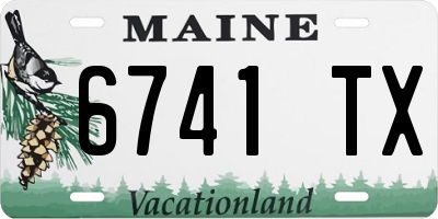 ME license plate 6741TX
