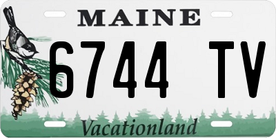 ME license plate 6744TV