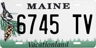 ME license plate 6745TV