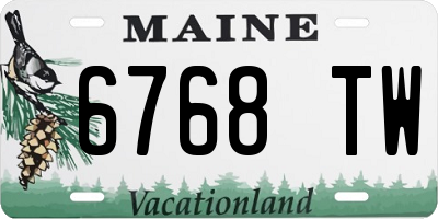 ME license plate 6768TW