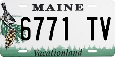 ME license plate 6771TV