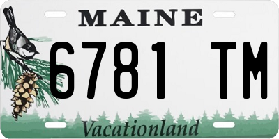 ME license plate 6781TM