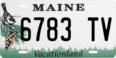 ME license plate 6783TV