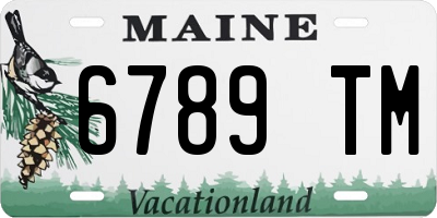 ME license plate 6789TM