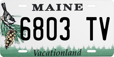 ME license plate 6803TV
