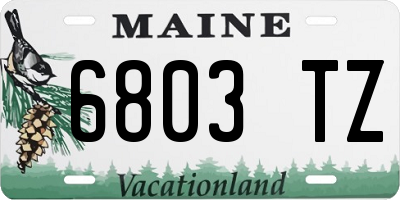 ME license plate 6803TZ