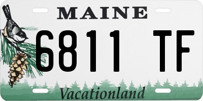 ME license plate 6811TF