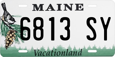 ME license plate 6813SY