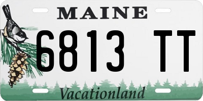 ME license plate 6813TT
