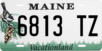 ME license plate 6813TZ