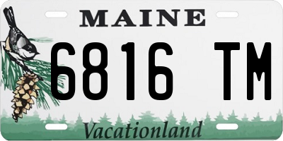 ME license plate 6816TM