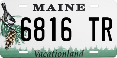 ME license plate 6816TR