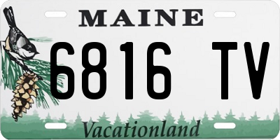 ME license plate 6816TV