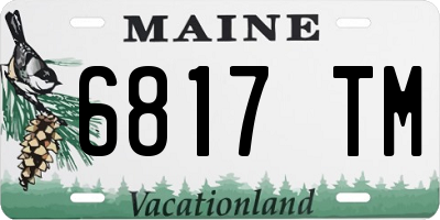 ME license plate 6817TM
