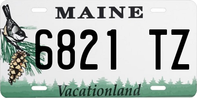 ME license plate 6821TZ