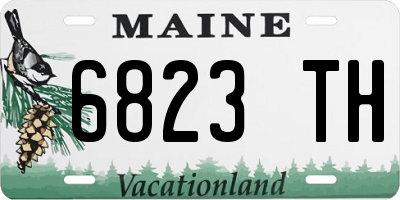 ME license plate 6823TH
