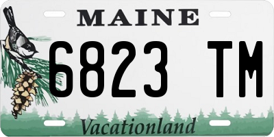 ME license plate 6823TM