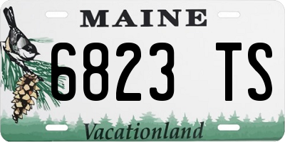 ME license plate 6823TS