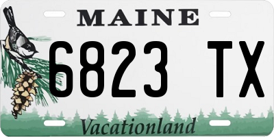 ME license plate 6823TX